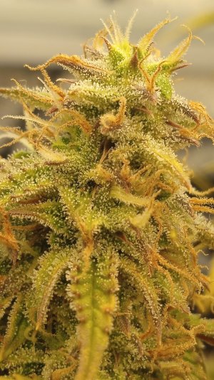 29.04.23 (1).jpg 29.04.23 (1).jpg