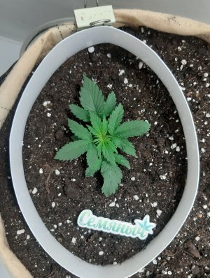 20230430_075537.jpg 20230430_075537.jpg