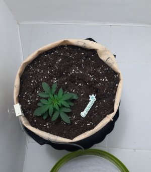 20230501_110042.jpg 20230501_110042.jpg