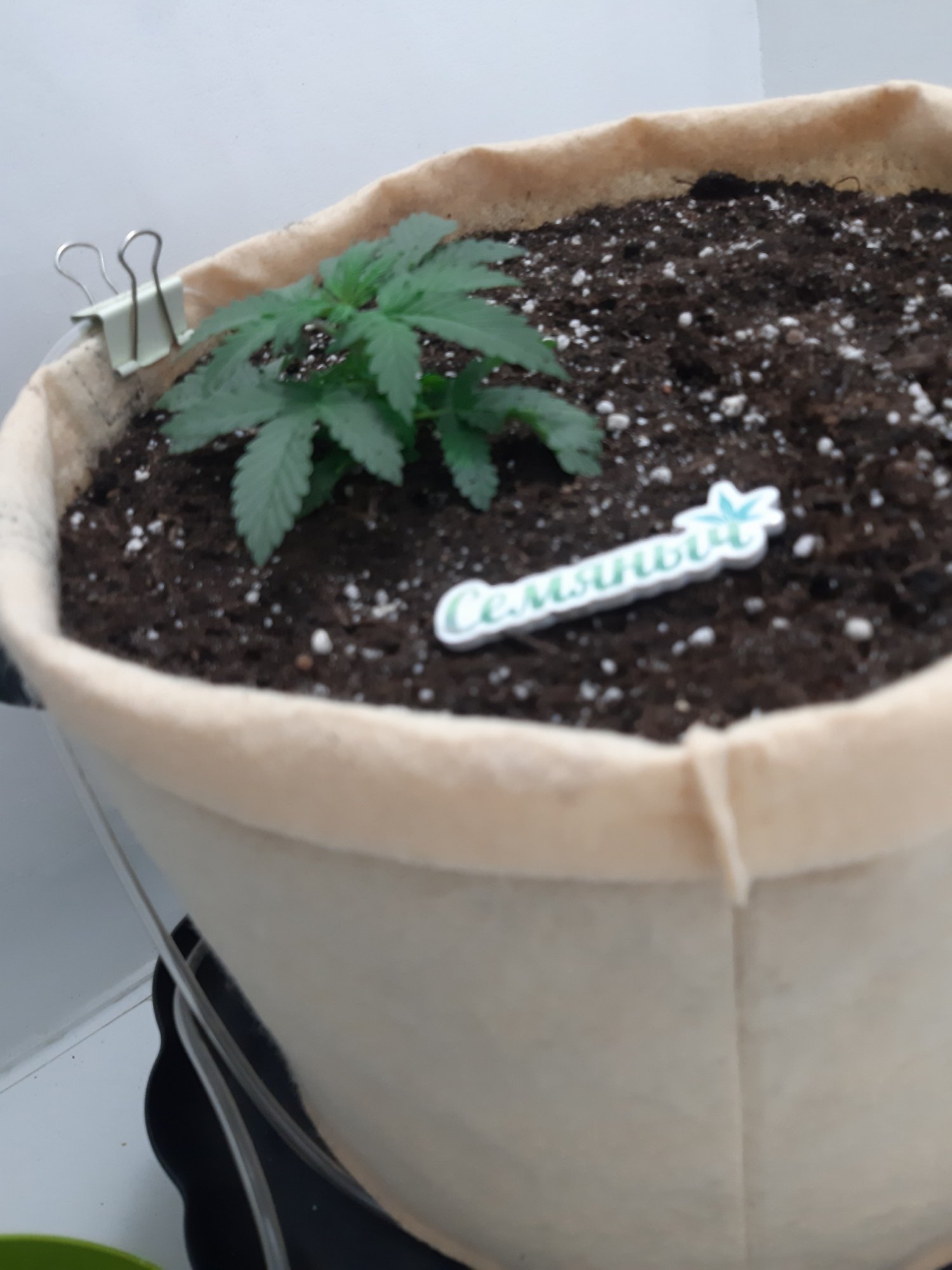 20230501_110015.jpg 20230501_110015.jpg