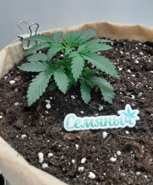 20230501_110615.jpg 20230501_110615.jpg