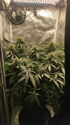 IMG_20230502_182735_262.jpg IMG_20230502_182735_262.jpg