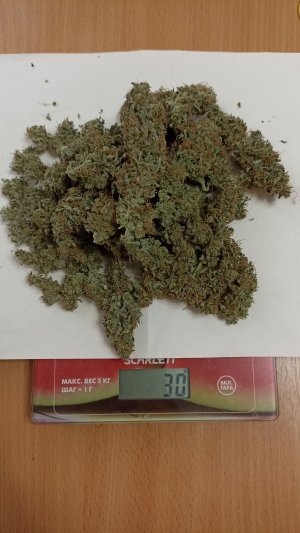 IMG_20230507_092407.jpg IMG_20230507_092407.jpg