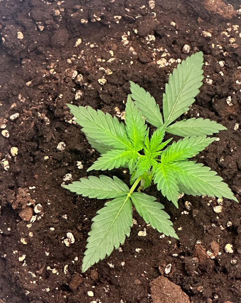 3BA0BC51-F554-4C76-A609-E7E2D46ED1D3.jpeg 3BA0BC51-F554-4C76-A609-E7E2D46ED1D3.jpeg