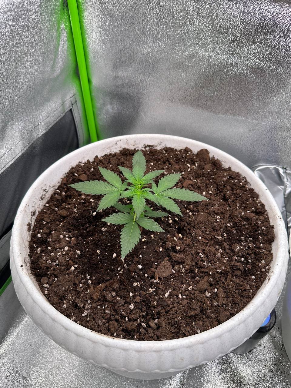 9019A3A5-AA4E-461F-9416-4993B422E156.jpeg 9019A3A5-AA4E-461F-9416-4993B422E156.jpeg