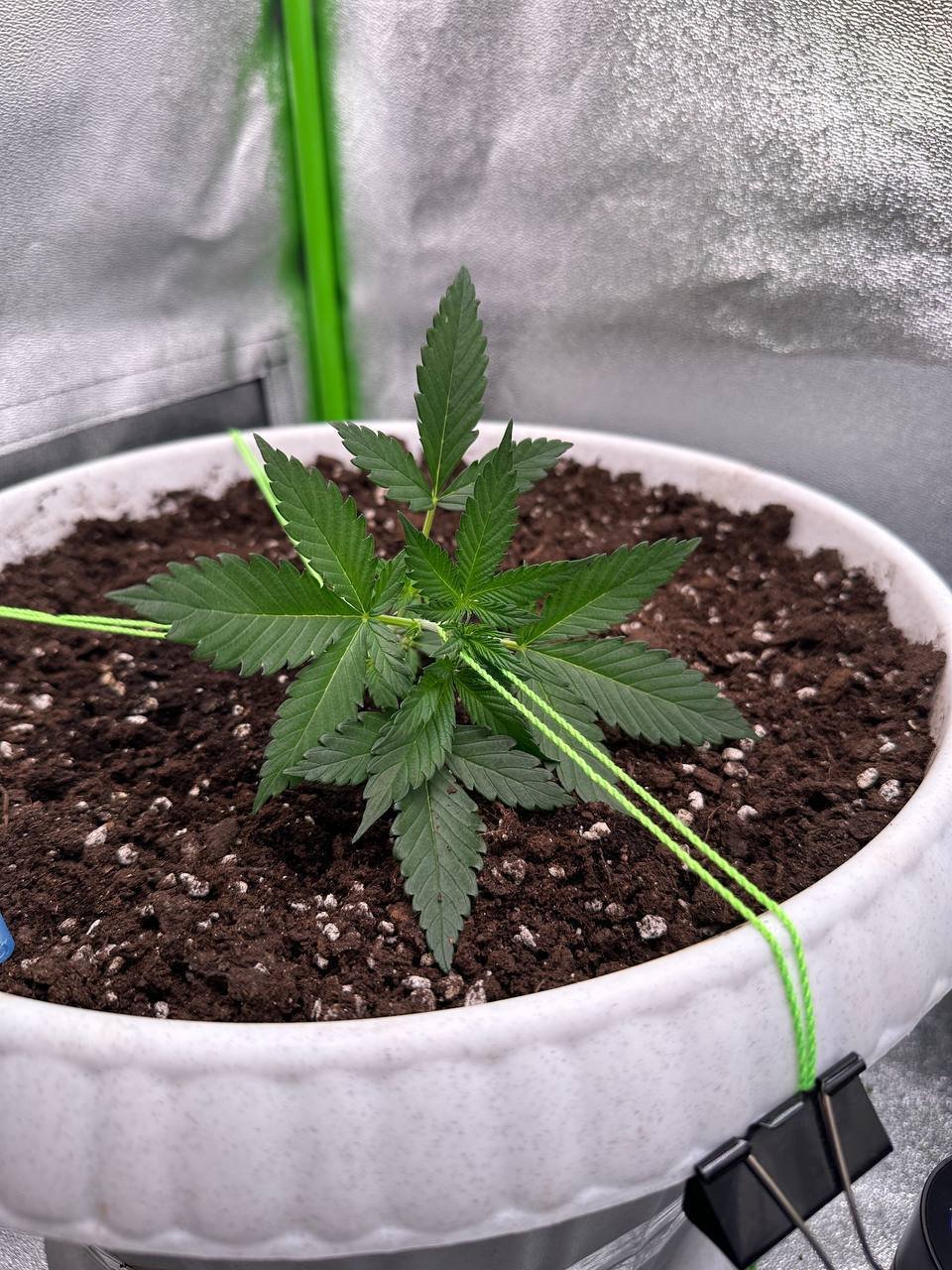 DC2C1A41-C1EE-4204-8A61-0CC099198DF4.jpeg DC2C1A41-C1EE-4204-8A61-0CC099198DF4.jpeg