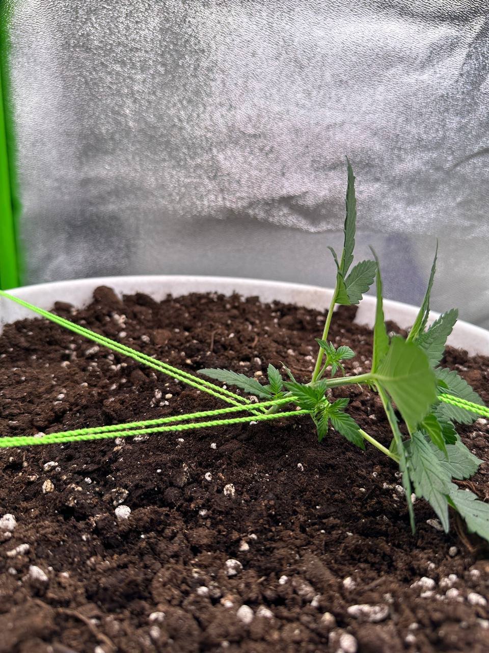 35DB937F-FFBF-4F4A-811E-AE01C1234ECD.jpeg 35DB937F-FFBF-4F4A-811E-AE01C1234ECD.jpeg