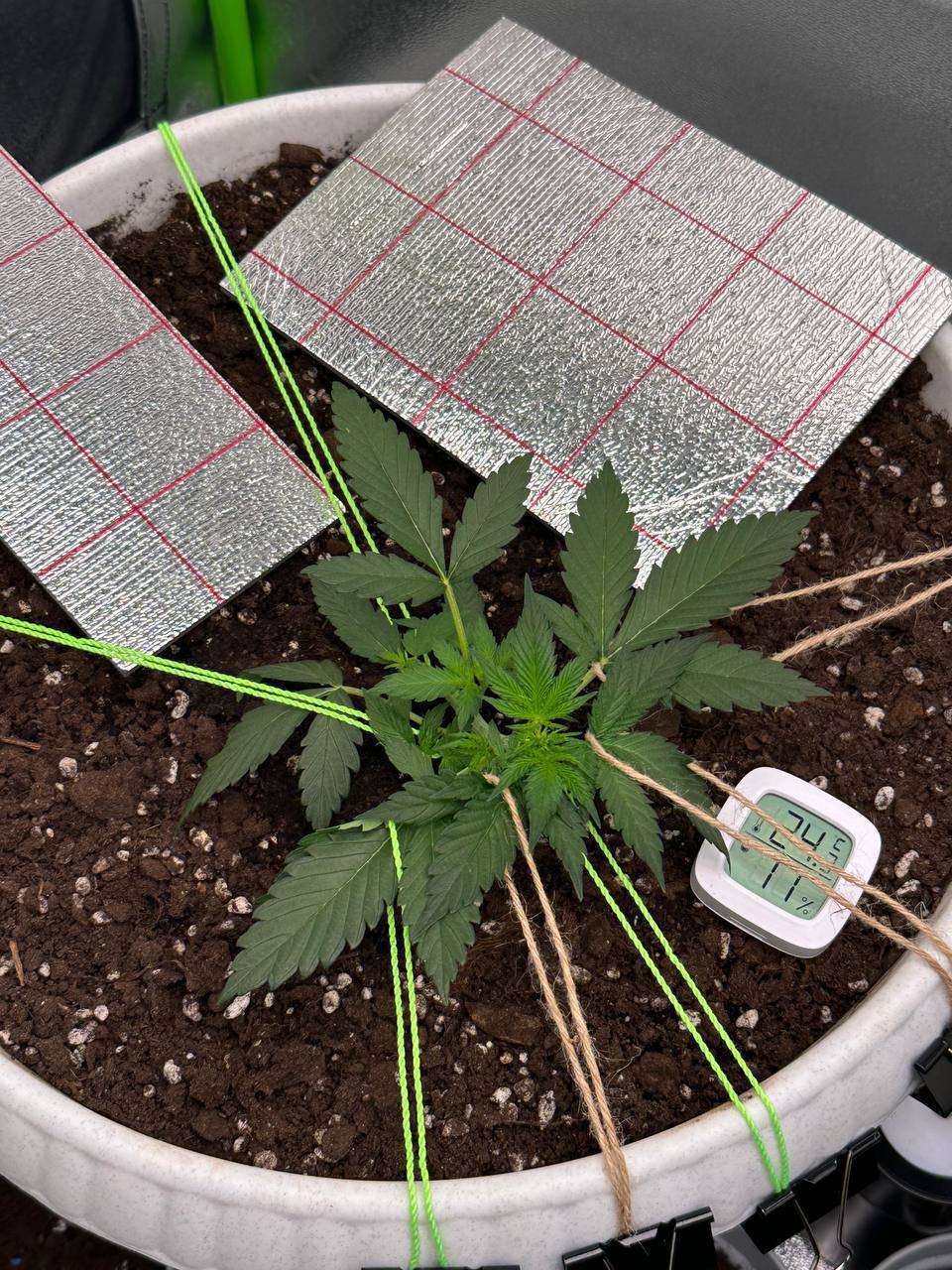 7FA4D80A-32EE-4C3D-85C3-C6E80F2BC74E.jpeg 7FA4D80A-32EE-4C3D-85C3-C6E80F2BC74E.jpeg