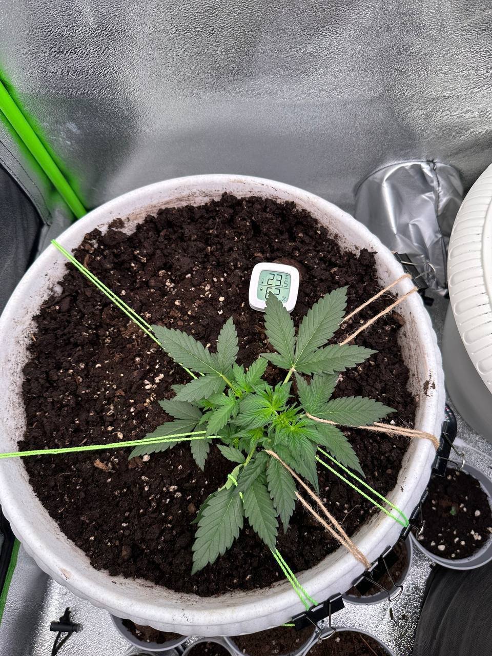 0FFCB20C-2ED2-47C7-BACF-753BE6741E23.jpeg 0FFCB20C-2ED2-47C7-BACF-753BE6741E23.jpeg