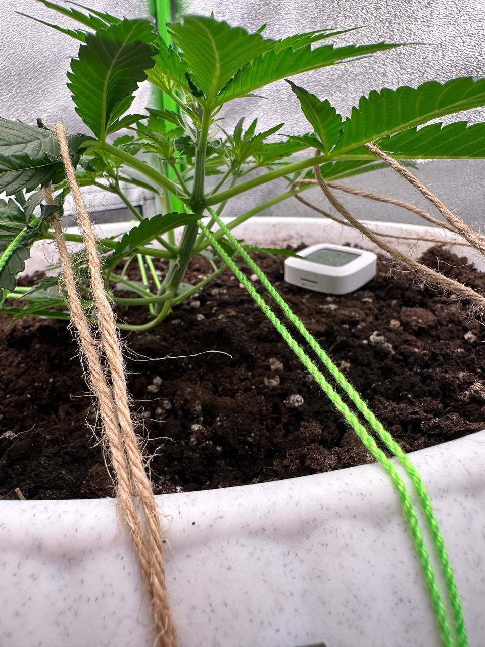 59C51835-5E29-45D6-8D28-EC27C958B173.jpeg 59C51835-5E29-45D6-8D28-EC27C958B173.jpeg