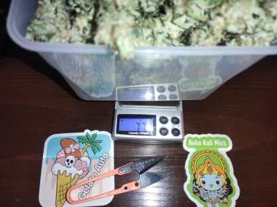 2023-05-10-20-20-55-727~2.jpg 2023-05-10-20-20-55-727~2.jpg