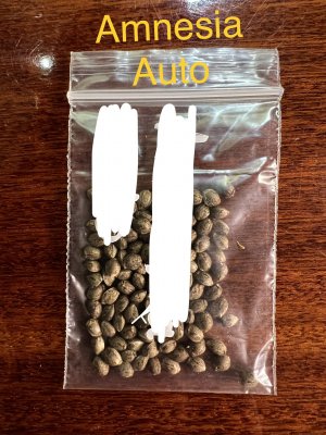 11E33E05-AB6F-4CDB-BA80-33A1D1E63523.jpeg 11E33E05-AB6F-4CDB-BA80-33A1D1E63523.jpeg