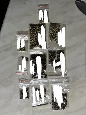 56153CBE-DD37-4B65-B72C-AFF6CAB46699.jpeg 56153CBE-DD37-4B65-B72C-AFF6CAB46699.jpeg