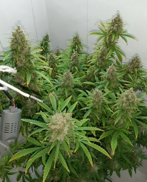 20230513_104744.jpg 20230513_104744.jpg