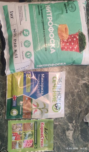 IMG_20230513_143247.jpg IMG_20230513_143247.jpg