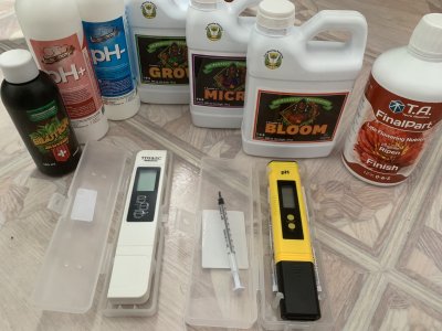 IMG_0981.jpeg IMG_0981.jpeg