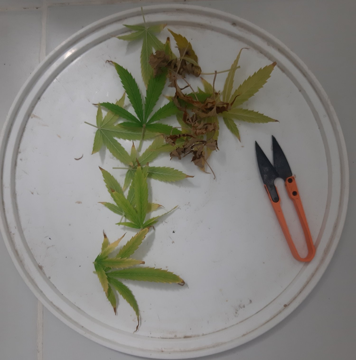 20230514_103013.jpg 20230514_103013.jpg