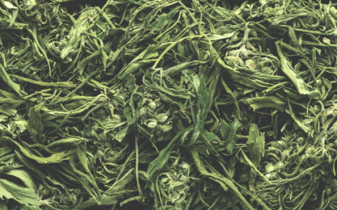 1684090870273.png 1684090870273.png