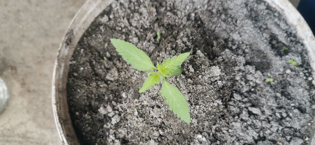 photo_5409184342497936422_y.jpg photo_5409184342497936422_y.jpg