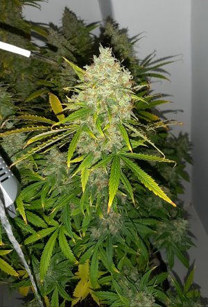 20230515_164400.jpg 20230515_164400.jpg