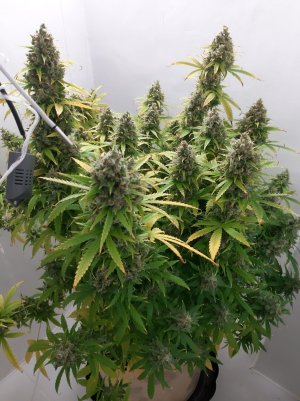 20230515_165756.jpg 20230515_165756.jpg