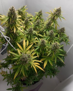 20230515_165814.jpg 20230515_165814.jpg