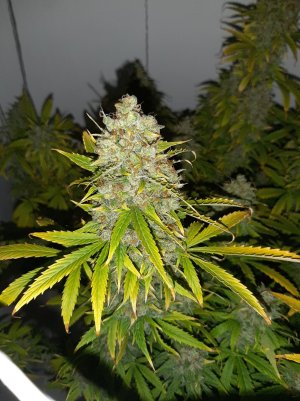 20230515_164329.jpg 20230515_164329.jpg