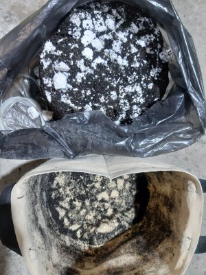 20230517_154423.jpg 20230517_154423.jpg