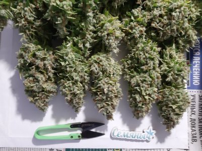 20230517_154536.jpg 20230517_154536.jpg