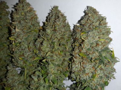 20230517_154604.jpg 20230517_154604.jpg