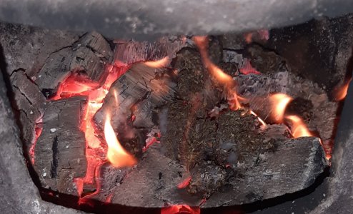 20230518_195543.jpg 20230518_195543.jpg