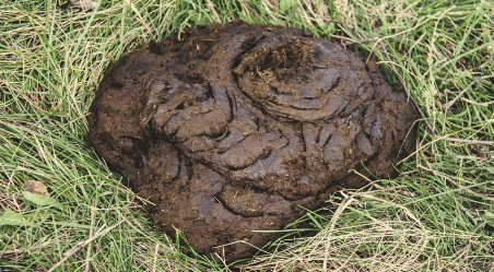 1684415204930.png 1684415204930.png