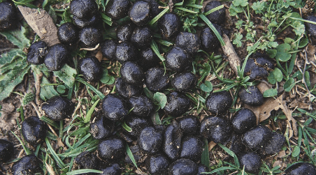 1684415234519.png 1684415234519.png