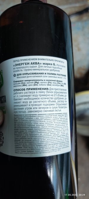 IMG_20230517_202932.jpg IMG_20230517_202932.jpg