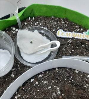 20230524_181244.jpg 20230524_181244.jpg