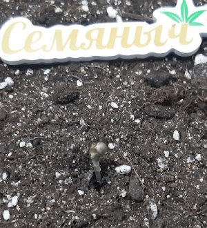 20230521_203746.jpg 20230521_203746.jpg