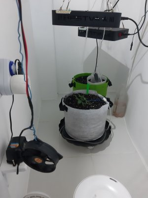 20230524_190422.jpg 20230524_190422.jpg