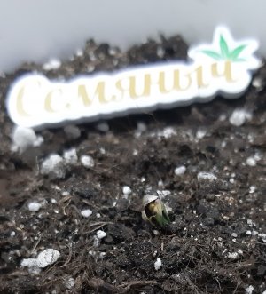 20230521_203910.jpg 20230521_203910.jpg