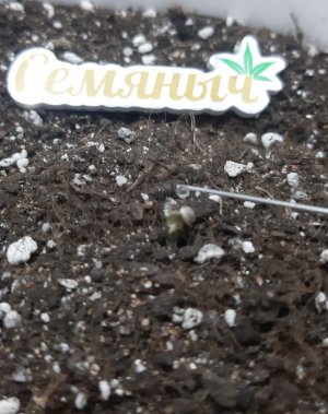 20230521_203837.jpg 20230521_203837.jpg