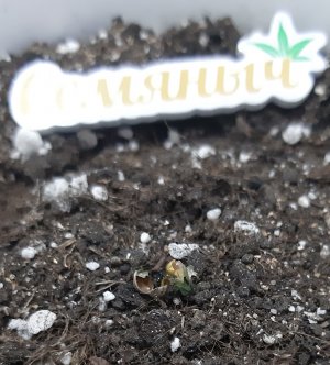 20230521_203935.jpg 20230521_203935.jpg