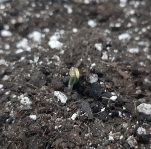 20230521_204404.jpg 20230521_204404.jpg