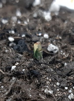 20230521_204233.jpg 20230521_204233.jpg