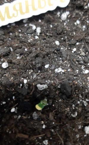 20230524_193809.jpg 20230524_193809.jpg