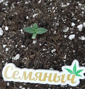 20230524_164845.jpg 20230524_164845.jpg