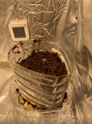 1685005504143.png 1685005504143.png