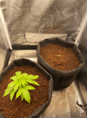 1685005666783.png 1685005666783.png