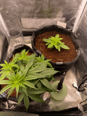 1685005753833.png 1685005753833.png