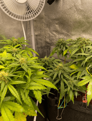 1685005991878.png 1685005991878.png