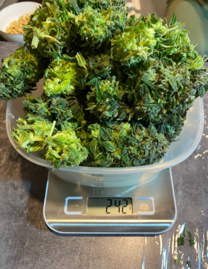 1685006133755.png 1685006133755.png