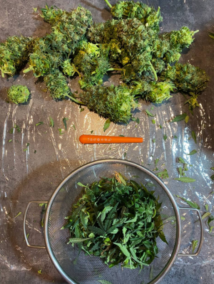 1685006156661.png 1685006156661.png